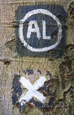 X- und AL-Zeichen AL X Zeichen